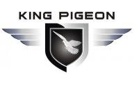 Anny King Pigeon GSM Alarm Group