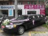 广州婚庆租车，广州租车公司，一条龙租车服务，价格优惠！