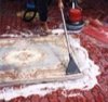 清洗地毯 上海浦东地毯清洗公司-修铺地毯-通用消毒杀虫-电话13681751700