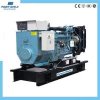 China diesel generator set