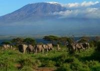 promotional travel mount kilimanjaro climbing discount offers