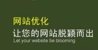 杭州网站优化